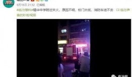 最新高校爆料视频下载免费,免费下载视频，校园生活新潮流